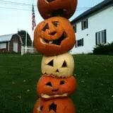 Will's Cackleberry Castle Pumpkin Farm photo