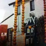 Will's Cackleberry Castle Pumpkin Farm photo