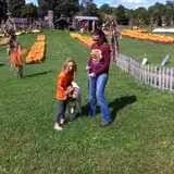Will's Cackleberry Castle Pumpkin Farm photo