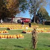 Will's Cackleberry Castle Pumpkin Farm photo