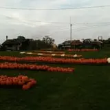 Will's Cackleberry Castle Pumpkin Farm photo