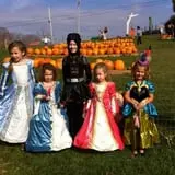 Will's Cackleberry Castle Pumpkin Farm photo