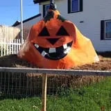 Will's Cackleberry Castle Pumpkin Farm photo