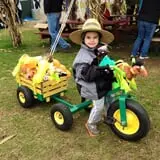 Will's Cackleberry Castle Pumpkin Farm photo