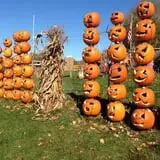 Will's Cackleberry Castle Pumpkin Farm photo