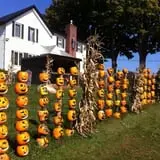 Will's Cackleberry Castle Pumpkin Farm photo