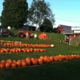 Will's Cackleberry Castle Pumpkin Farm photo