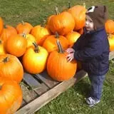 Will's Cackleberry Castle Pumpkin Farm photo