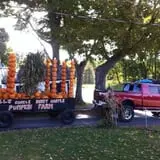 Will's Cackleberry Castle Pumpkin Farm photo