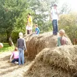 Diehl's Orchard & Cider Mill photo