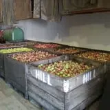 Diehl's Orchard & Cider Mill photo