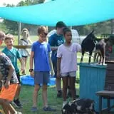 Circle D Funny Farm Pumpkin Patch photo