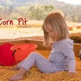 Circle D Funny Farm Pumpkin Patch photo