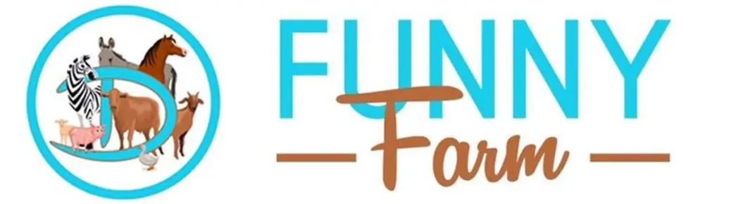 Circle D Funny Farm Pumpkin Patch Cover Photo