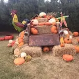 At'l Do Farms photo