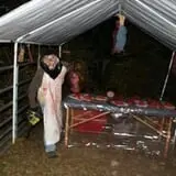 Stinkys House of Horrors photo
