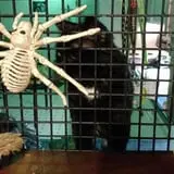 Stinkys House of Horrors photo