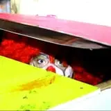 Stinkys House of Horrors photo