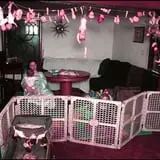 Stinkys House of Horrors photo