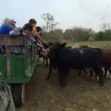 Warrick Farm Hayrides photo