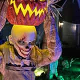 Silverwood Screams photo