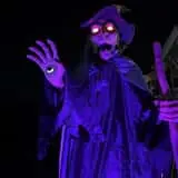 Silverwood Screams photo