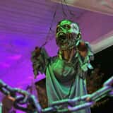 Silverwood Screams photo