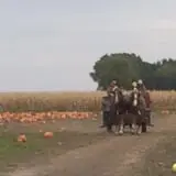 U-Pick Pumpkins & More photo