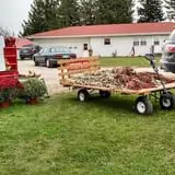 U-Pick Pumpkins & More photo