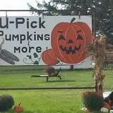 U-Pick Pumpkins & More photo