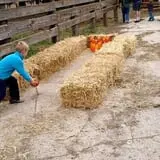 U-Pick Pumpkins & More photo