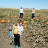 U-Pick Pumpkins & More photo