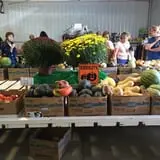 U-Pick Pumpkins & More photo