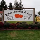 U-Pick Pumpkins & More photo