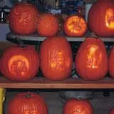 U-Pick Pumpkins & More photo