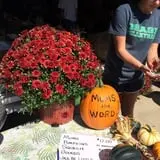 U-Pick Pumpkins & More photo