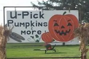 U-Pick Pumpkins & More