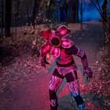 Oak Blood Forest photo
