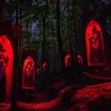 Oak Blood Forest
