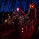 Oak Blood Forest photo