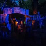 Oak Blood Forest photo