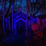 Oak Blood Forest photo