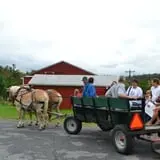 Terrace Mountain Orchard photo
