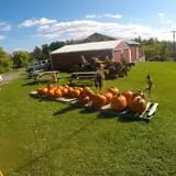 Terrace Mountain Orchard photo