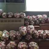 Terrace Mountain Orchard photo