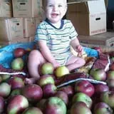 Terrace Mountain Orchard photo
