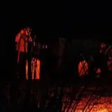 Garage of Horrors photo