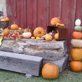 Mulberry Lane Farm photo