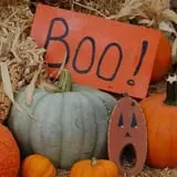 Mulberry Lane Farm photo