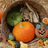 Mulberry Lane Farm photo